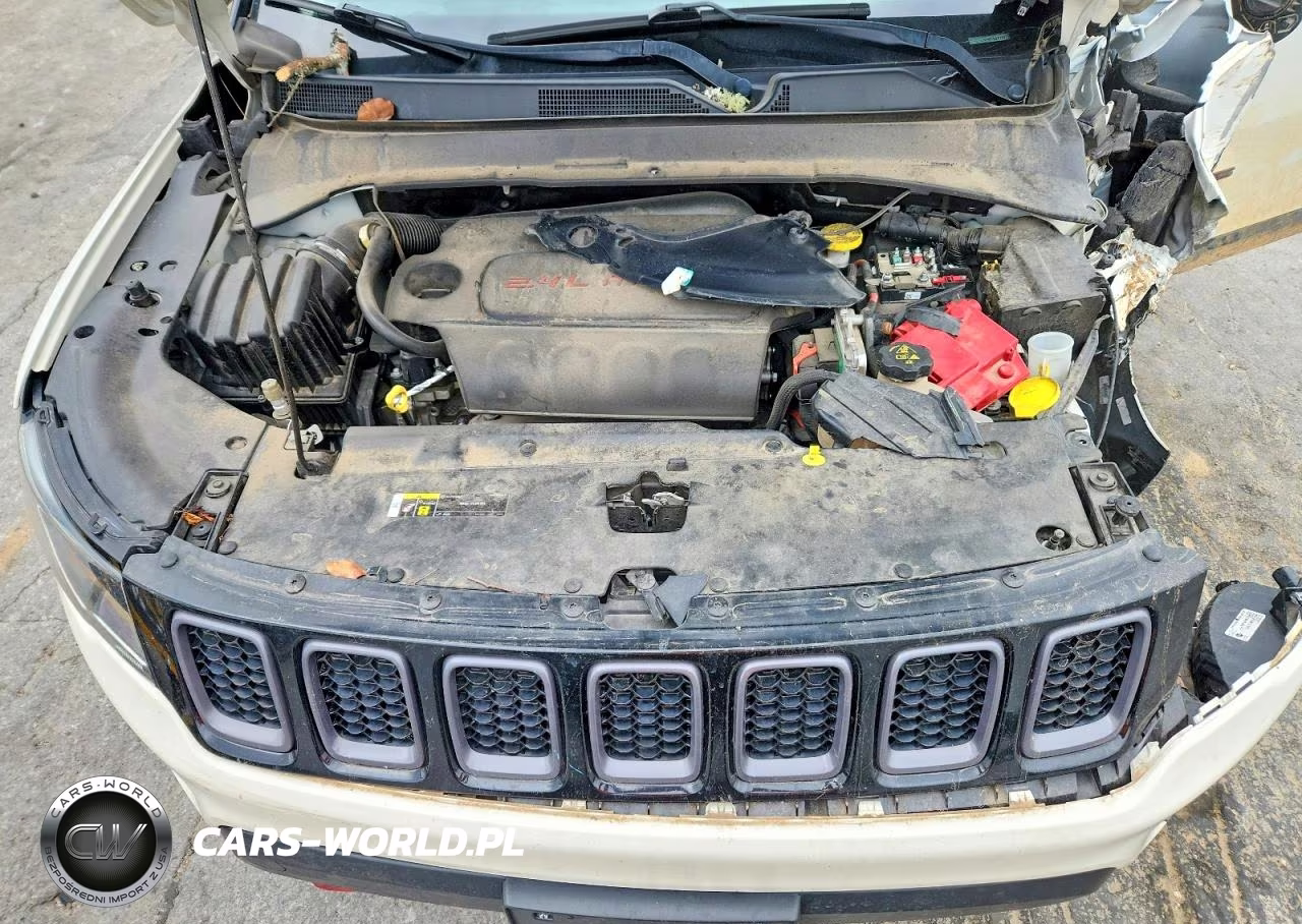 2019 Jeep Compass Trailhawk VIN:3C4NJDDB9KT597774 - 12