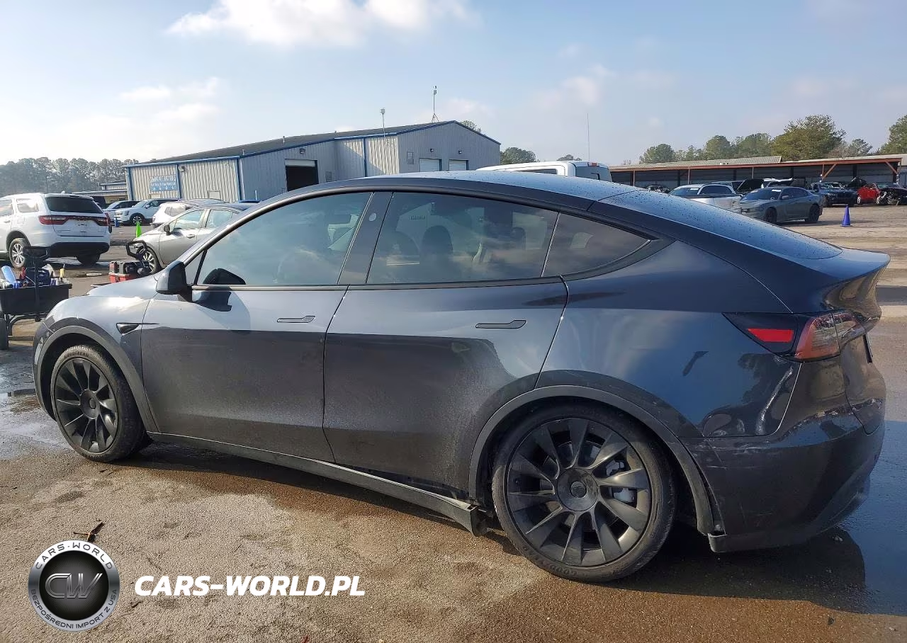 2024 Tesla Model Y VIN:7SAYGDED8RF156841 - 2