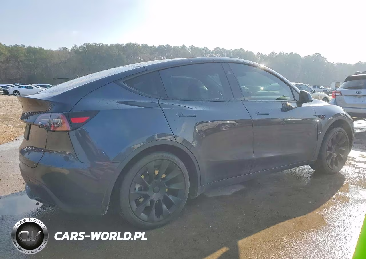 2024 Tesla Model Y VIN:7SAYGDED8RF156841 - 3