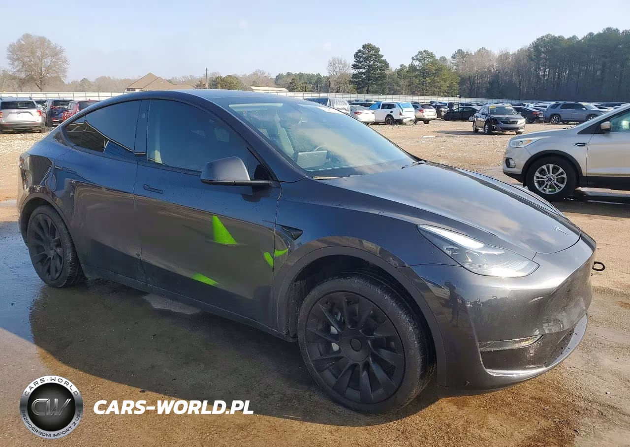 2024 Tesla Model Y VIN:7SAYGDED8RF156841 - 4