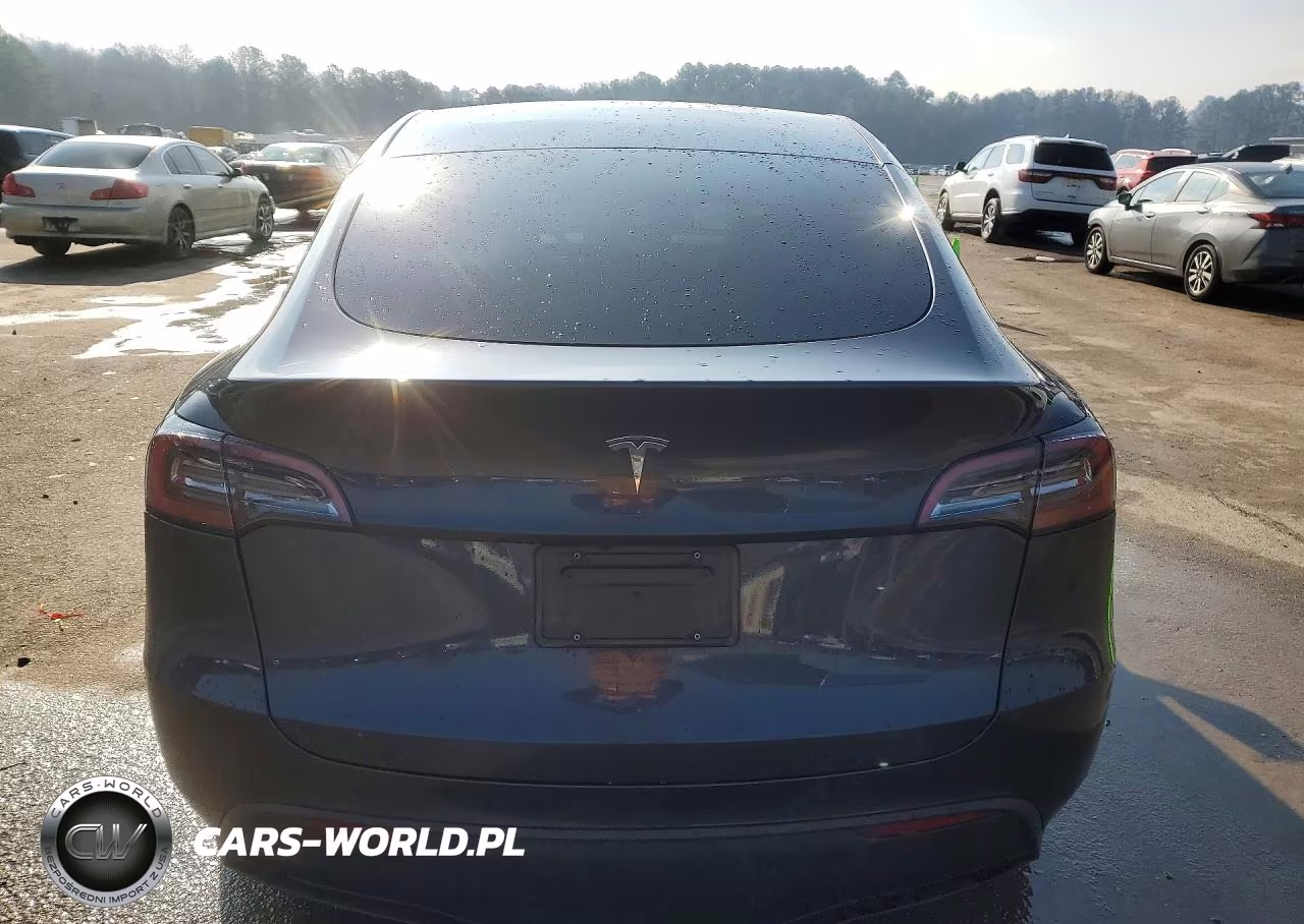 2024 Tesla Model Y VIN:7SAYGDED8RF156841 - 6