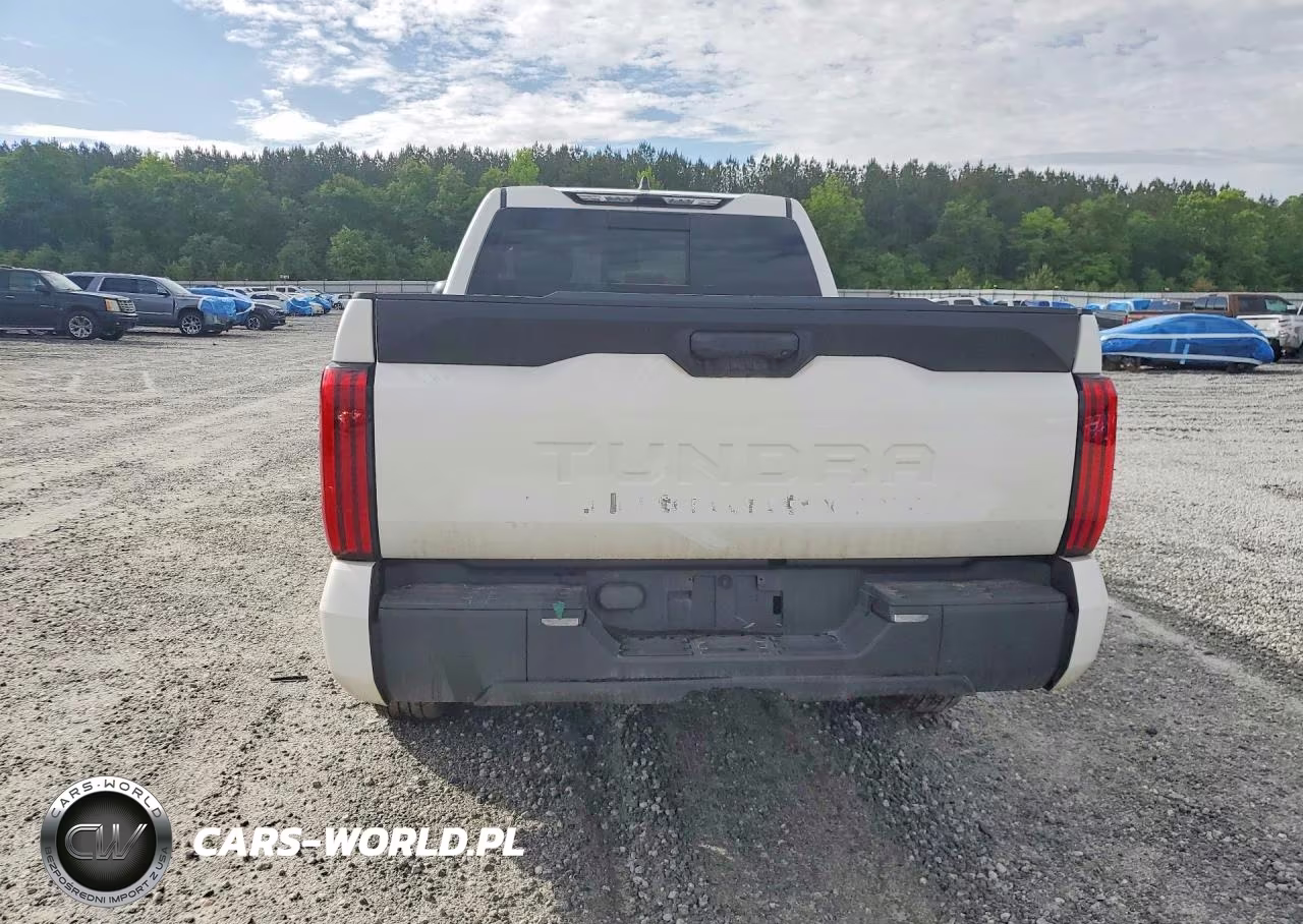 2025 Toyota Tundra Sr VIN:5TFKB5AA9SX050364 - 6