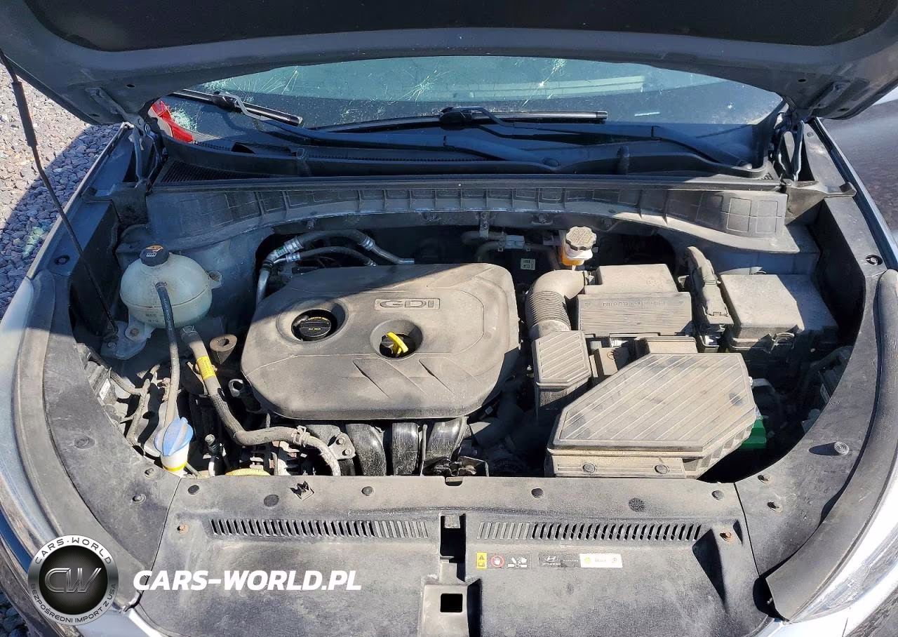 2019 Hyundai Tucson Se VIN:KM8J2CA4XKU955428 - 12