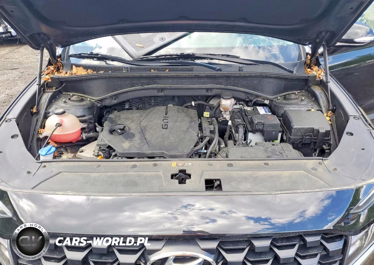 2023 Hyundai Santa Fe Sel VIN:5NMS24AJ1PH619251 - 11