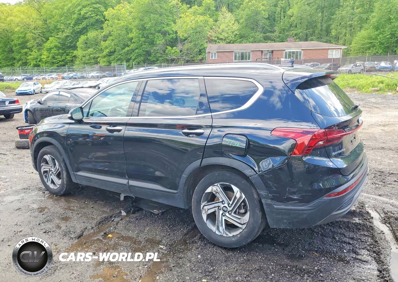 2023 Hyundai Santa Fe Sel VIN:5NMS24AJ1PH619251 - 2
