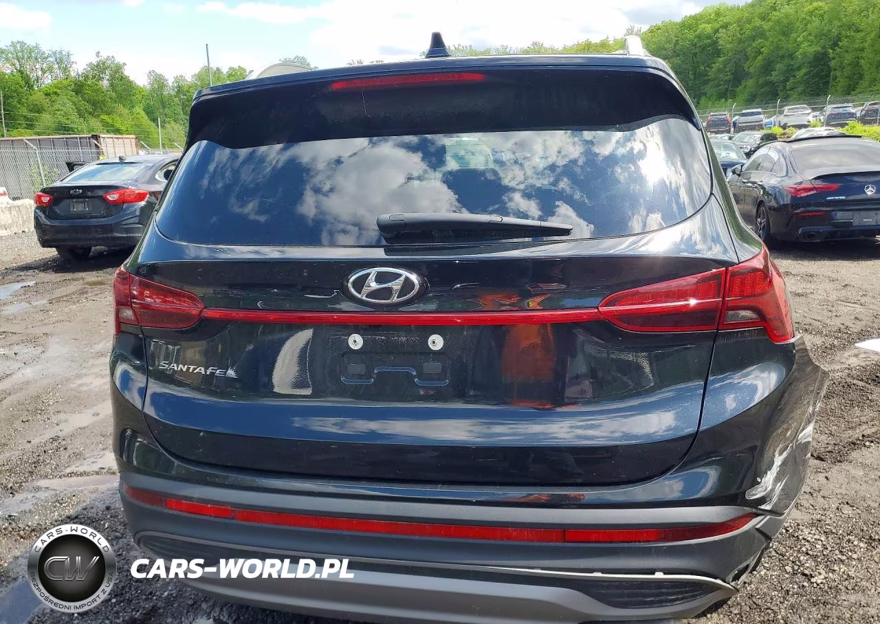 2023 Hyundai Santa Fe Sel VIN:5NMS24AJ1PH619251 - 6