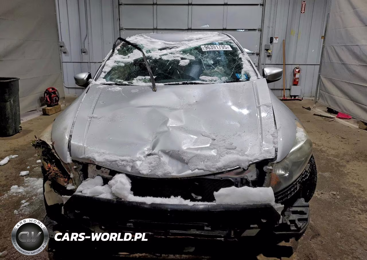 2010 Honda Accord Lx VIN:1HGCP2F33AA040804 - 5