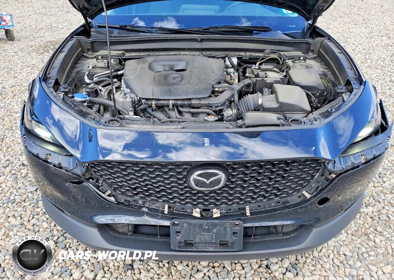2024 Mazda Cx-30 VIN:3MVDMBAMXRM634511 - 12