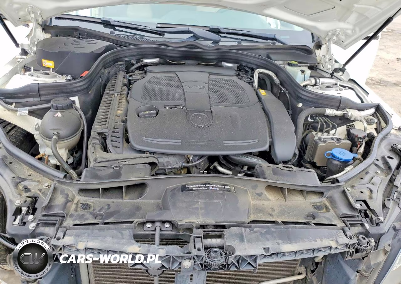 2014 Mercedes-Benz E 350 VIN:WDDHF5KB4EB004602 - 11