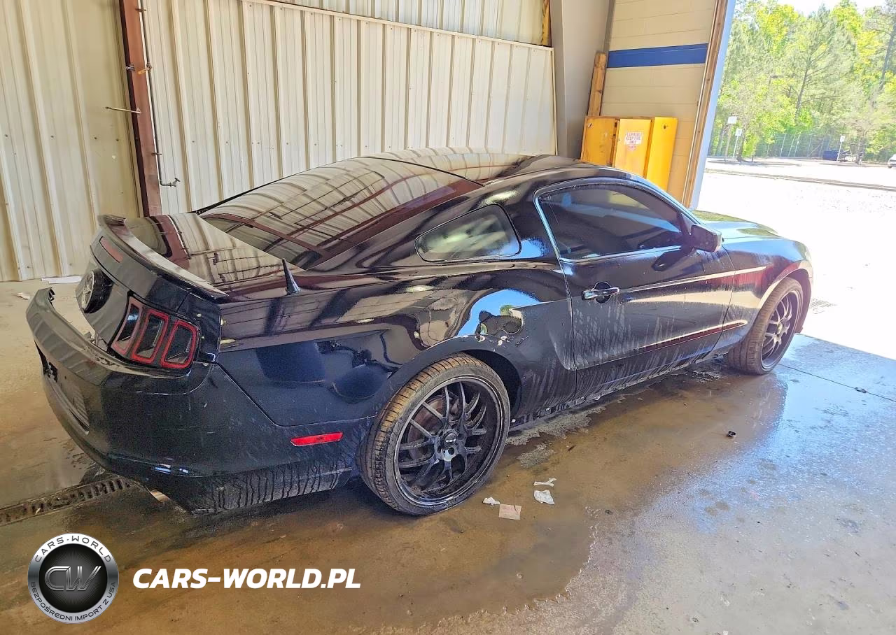 2013 Ford Mustang VIN:1ZVBP8AM3D5261469 - 3