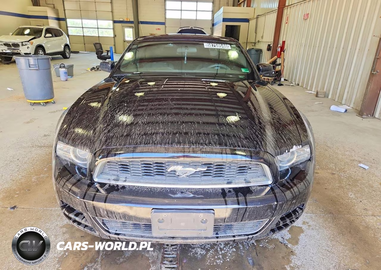 2013 Ford Mustang VIN:1ZVBP8AM3D5261469 - 5