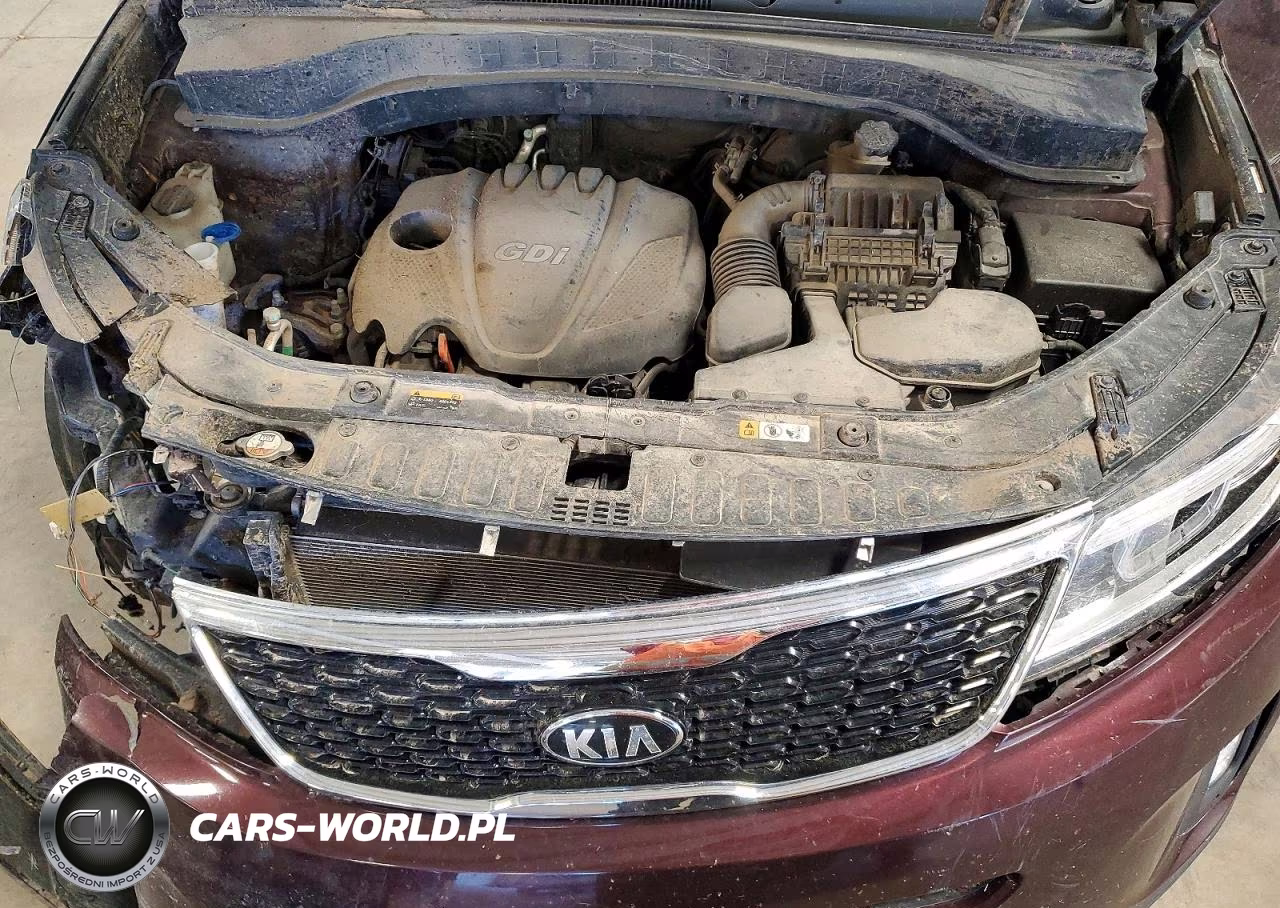 2014 Kia Sorento Lx VIN:5XYKTCA6XEG438871 - 12
