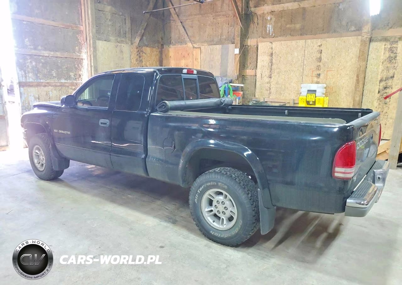 1999 Dodge Dakota VIN:1B7GG22Y7XS233896 - 2