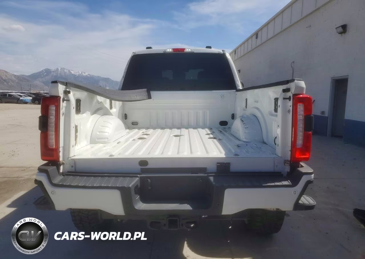 2024 Ford F350 Super Duty VIN:1FT8W3BT6REF94393 - 6
