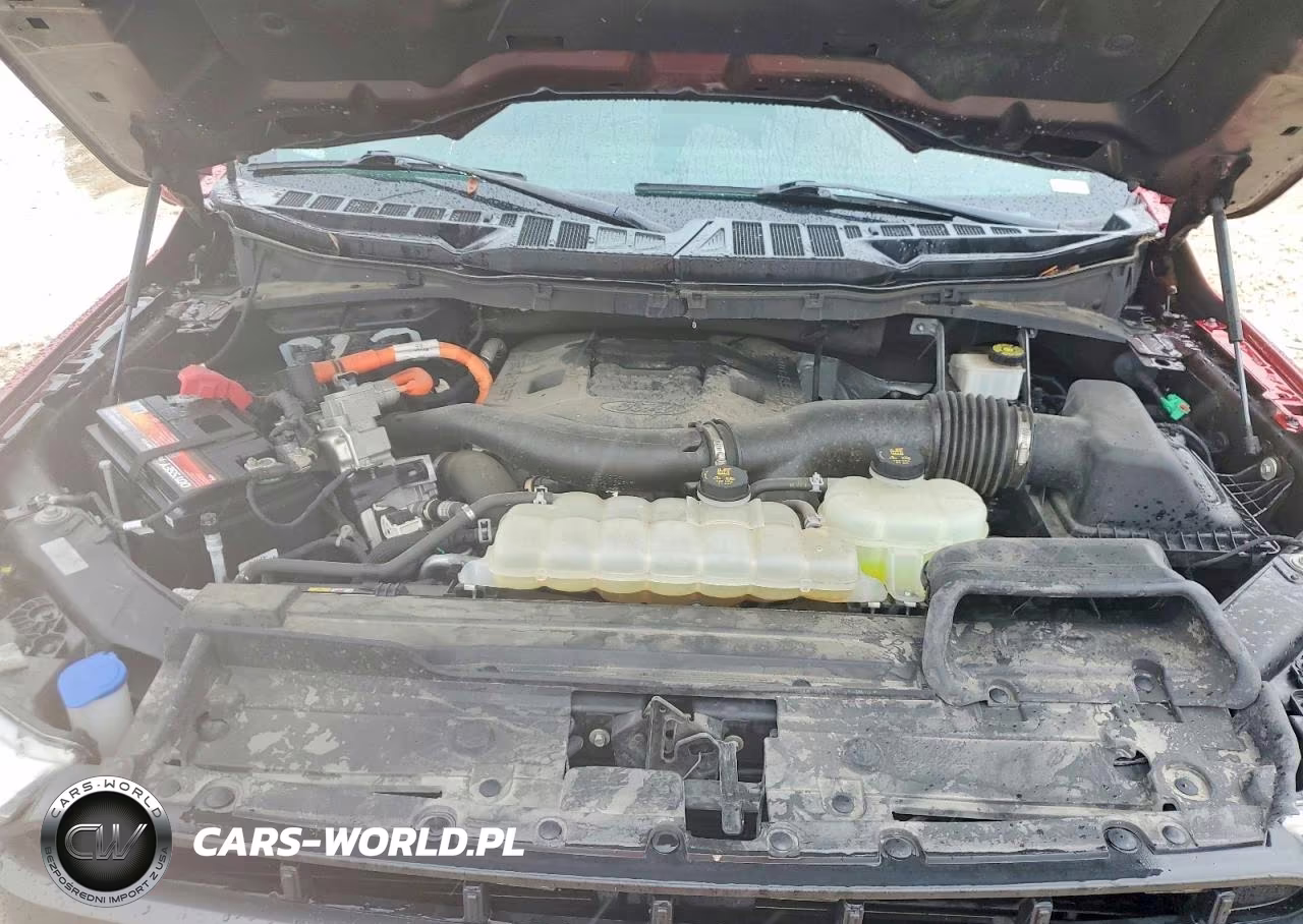 2022 Ford F150 Supercrew VIN:1FTFW1ED5NFA47796 - 11