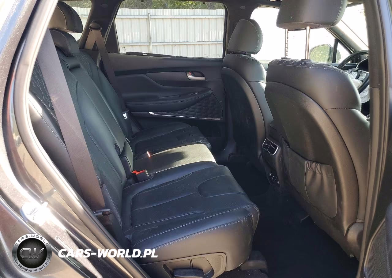 2023 Hyundai Santa Fe Calligraphy VIN:5NMS5DALXPH484182 - 11