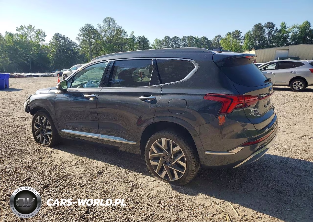 2023 Hyundai Santa Fe Calligraphy VIN:5NMS5DALXPH484182 - 2