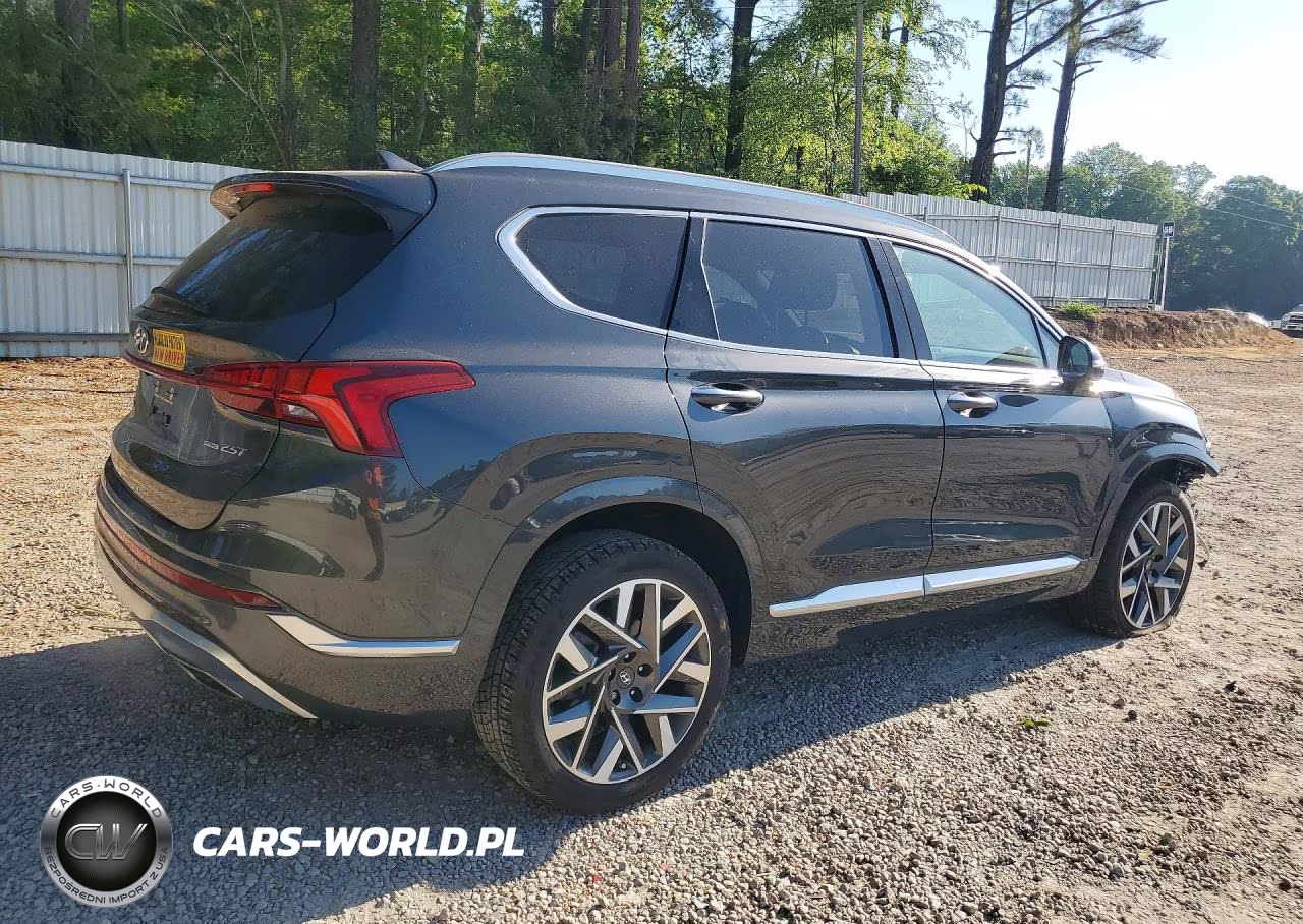 2023 Hyundai Santa Fe Calligraphy VIN:5NMS5DALXPH484182 - 3