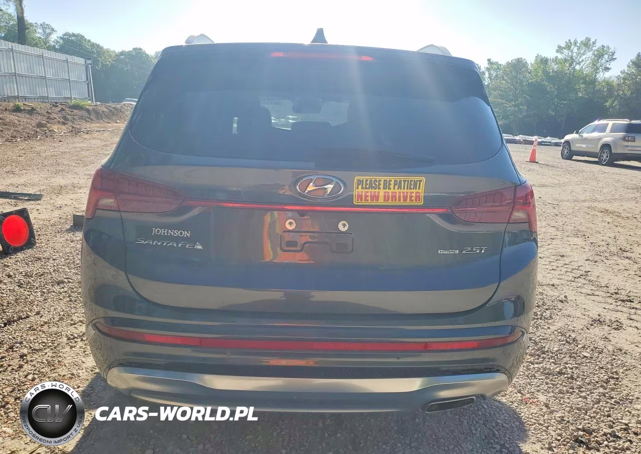 2023 Hyundai Santa Fe Calligraphy VIN:5NMS5DALXPH484182 - 6