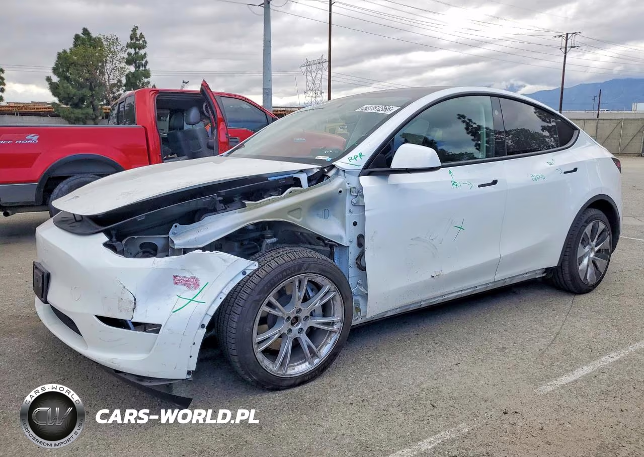 2024 Tesla Model Y