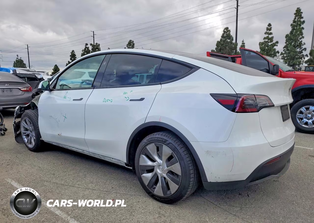 2024 Tesla Model Y VIN:7SAYGAEE0RF984681 - 2