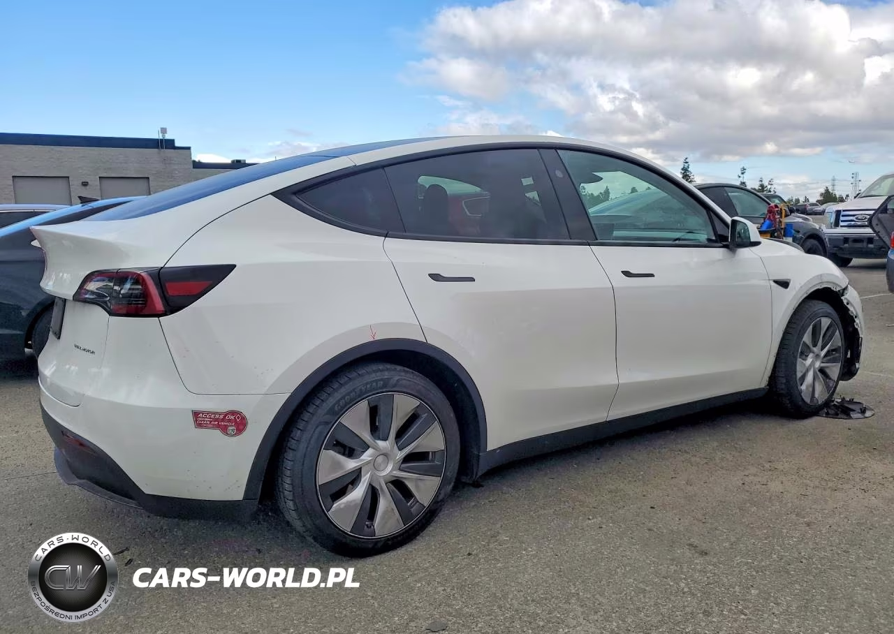 2024 Tesla Model Y VIN:7SAYGAEE0RF984681 - 3