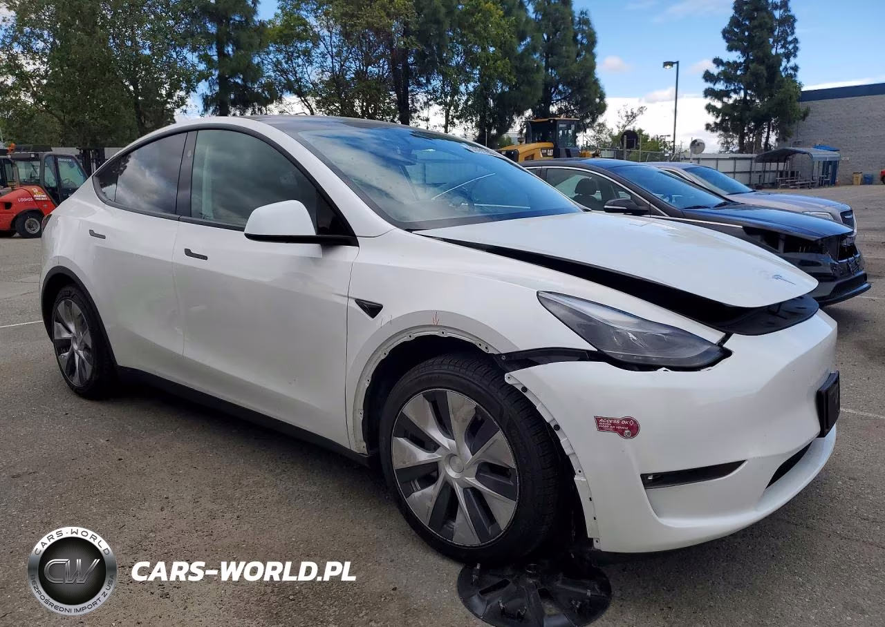 2024 Tesla Model Y VIN:7SAYGAEE0RF984681 - 4