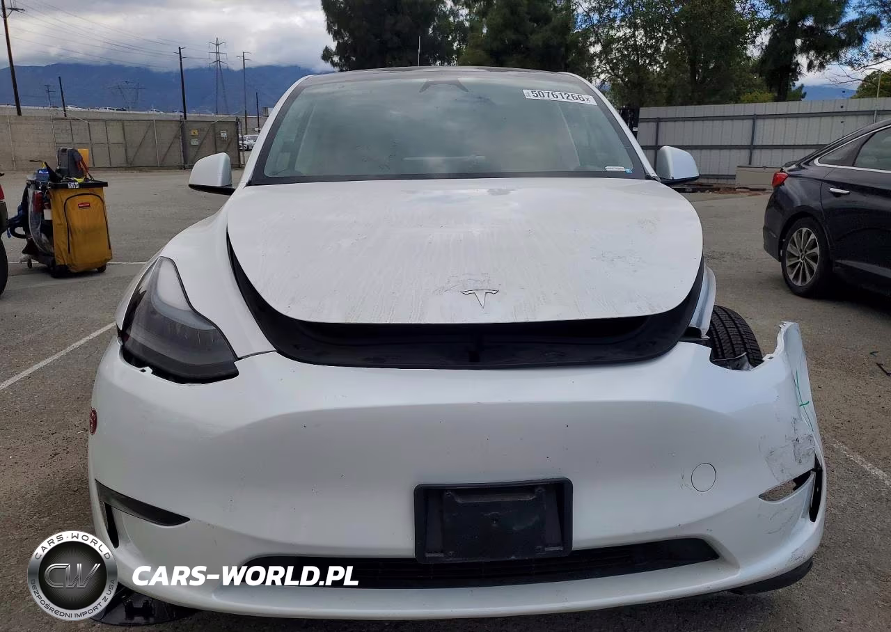 2024 Tesla Model Y VIN:7SAYGAEE0RF984681 - 5