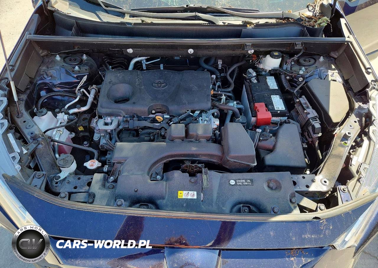 2022 Toyota Rav4 Xle VIN:2T3P1RFV0NW291069 - 12