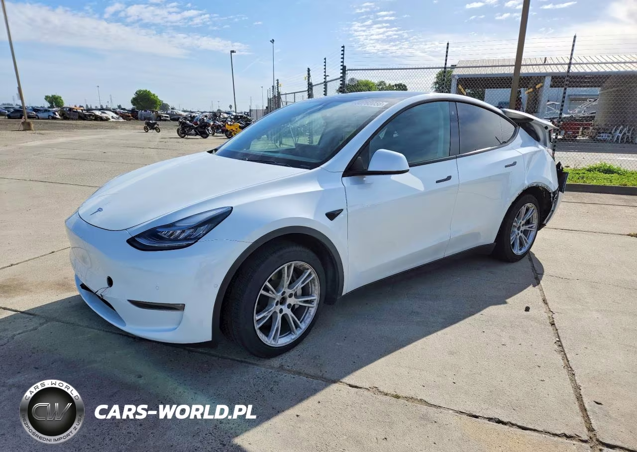 2020 Tesla Model Y
