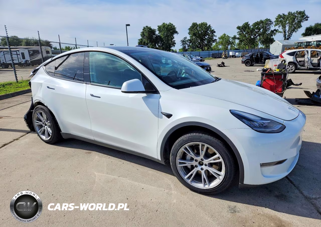 2020 Tesla Model Y VIN:5YJYGDEE6LF018535 - 4