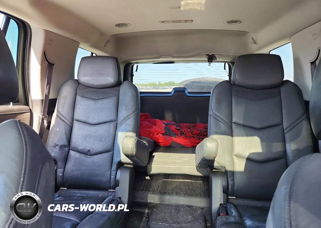 2020 Cadillac Escalade Luxury VIN:1GYS3BKJ4LR280081 - 10
