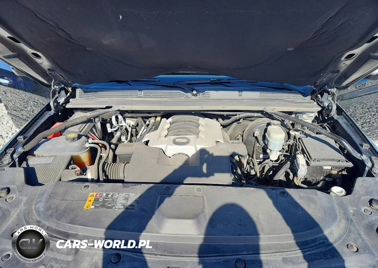 2020 Cadillac Escalade Luxury VIN:1GYS3BKJ4LR280081 - 12