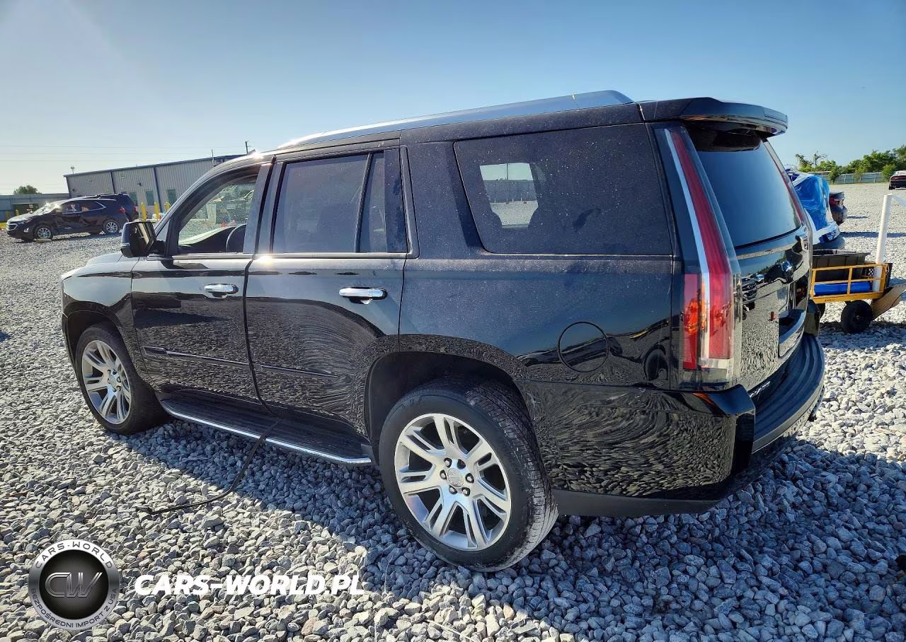 2020 Cadillac Escalade Luxury VIN:1GYS3BKJ4LR280081 - 2
