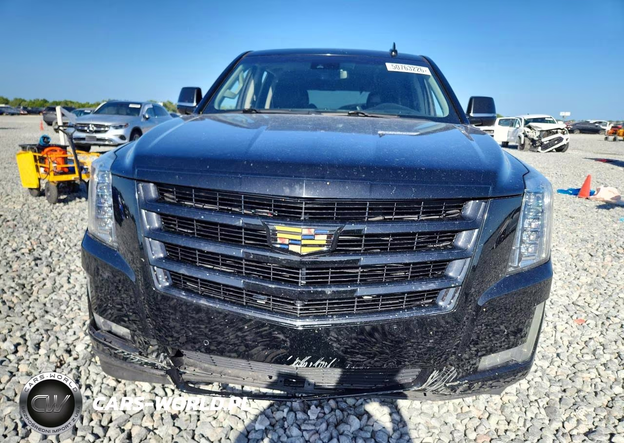 2020 Cadillac Escalade Luxury VIN:1GYS3BKJ4LR280081 - 5