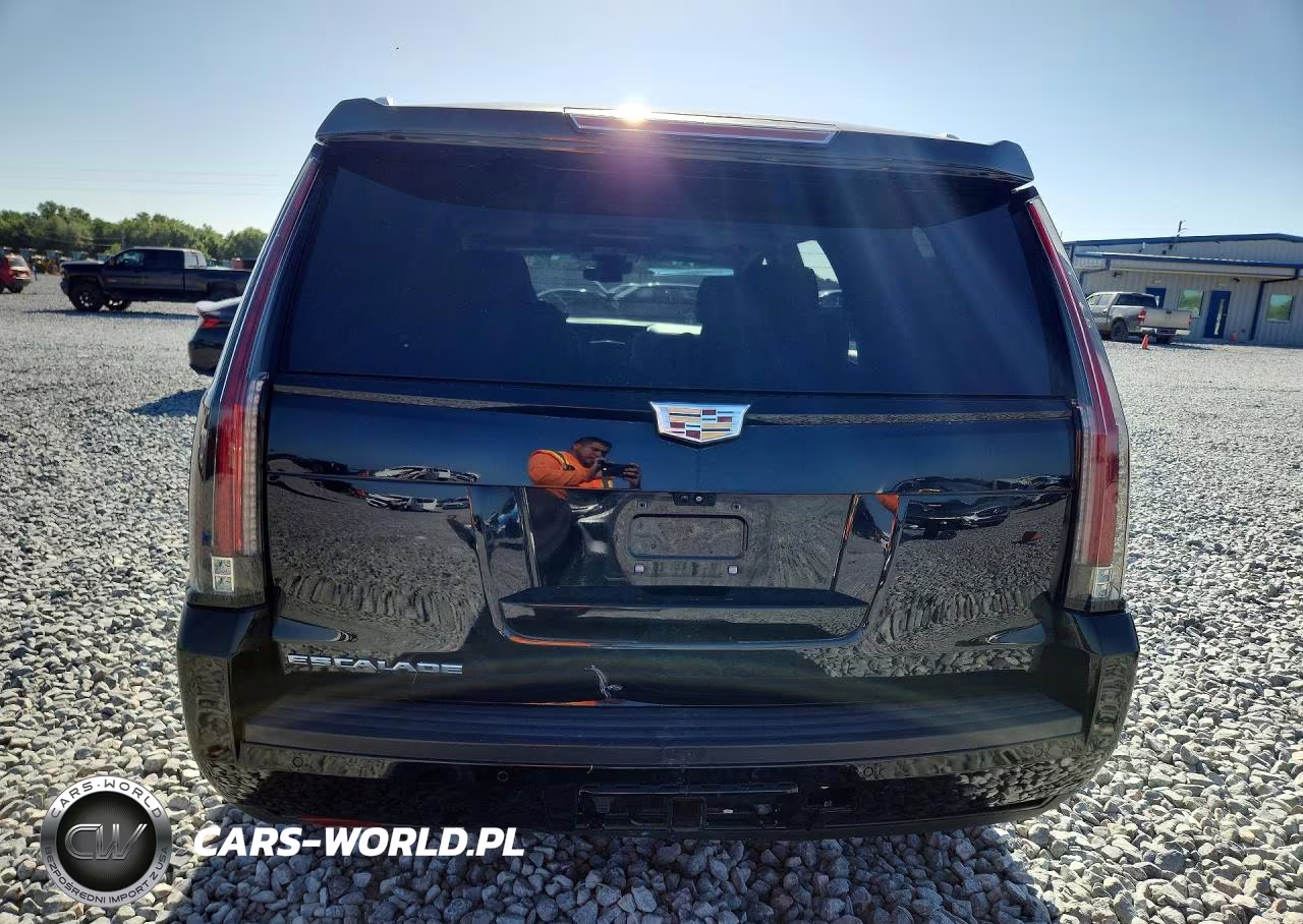 2020 Cadillac Escalade Luxury VIN:1GYS3BKJ4LR280081 - 6