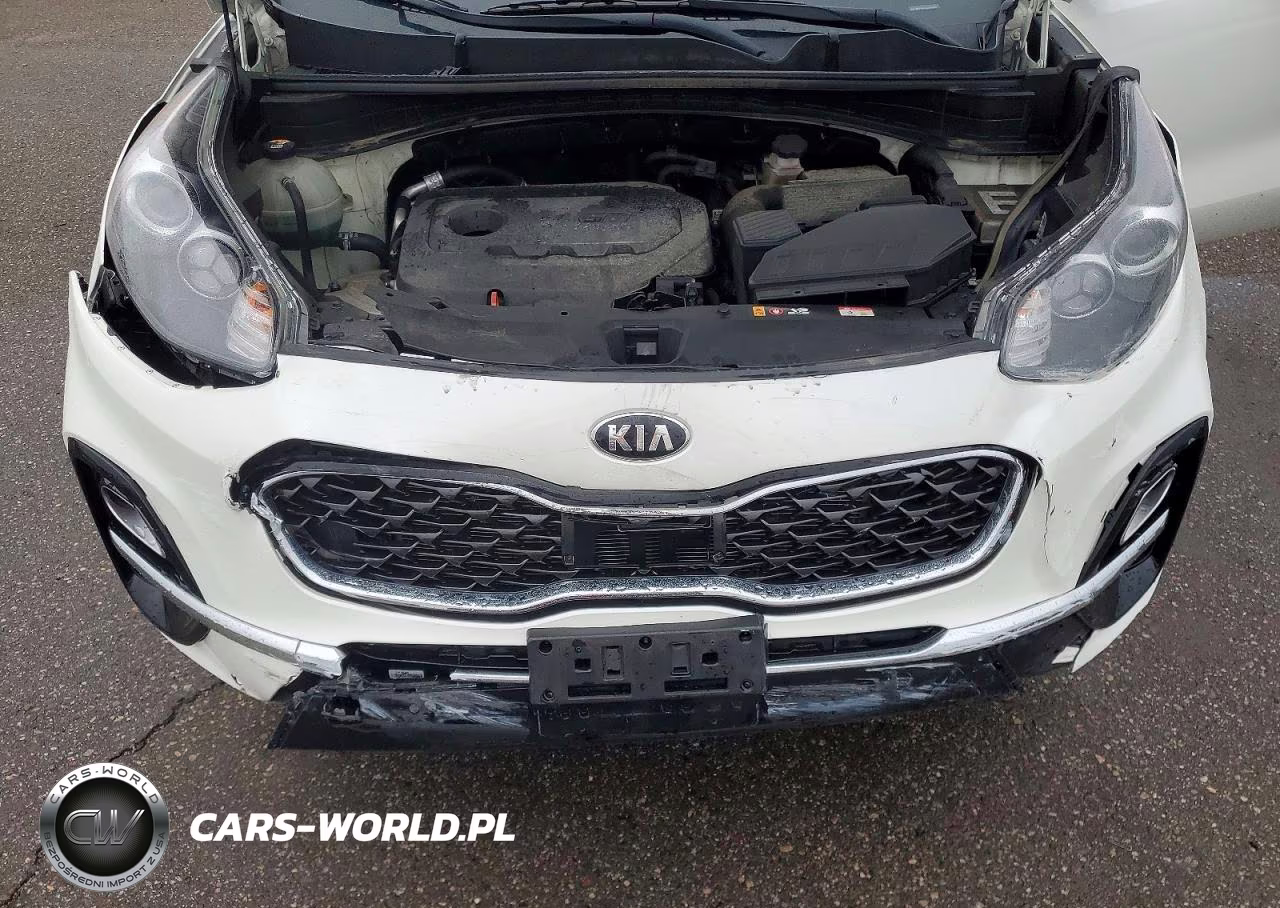 2021 Kia Sportage Ex VIN:KNDPNCAC7M7846083 - 12