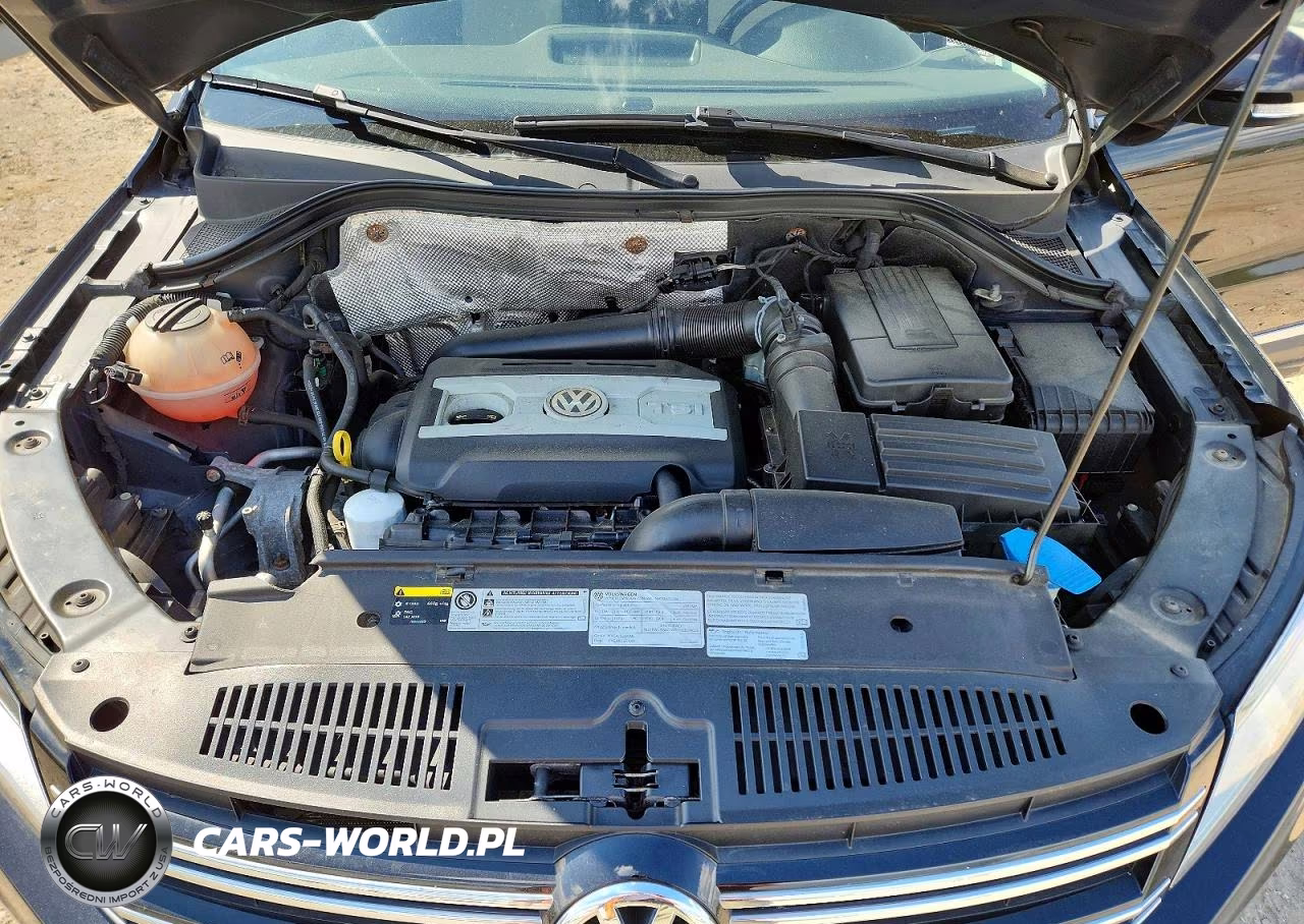 2017 Volkswagen Tiguan Wolfsburg VIN:WVGSV7AX5HW500478 - 12