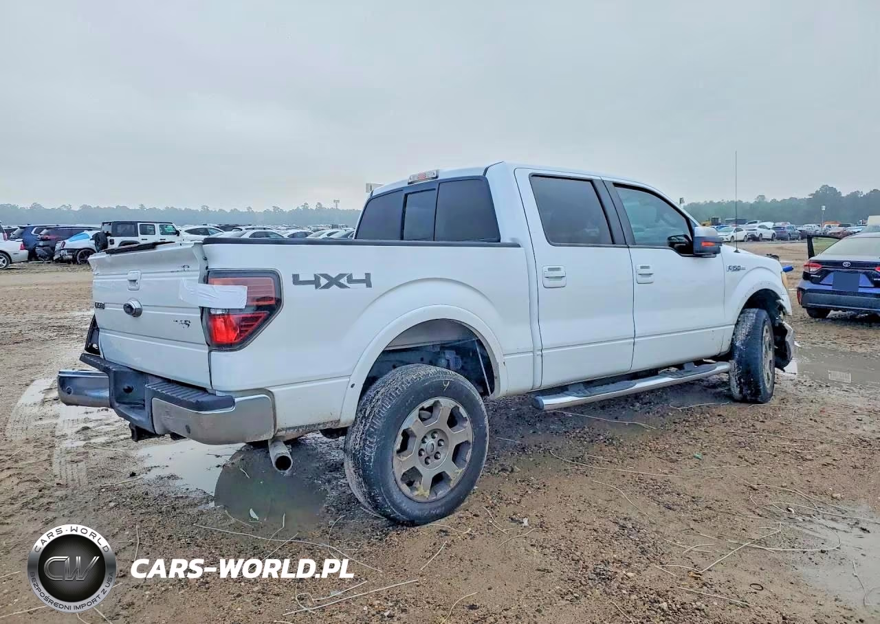 2009 Ford F150 Supercrew VIN:1FTPW14V69FA02063 - 3