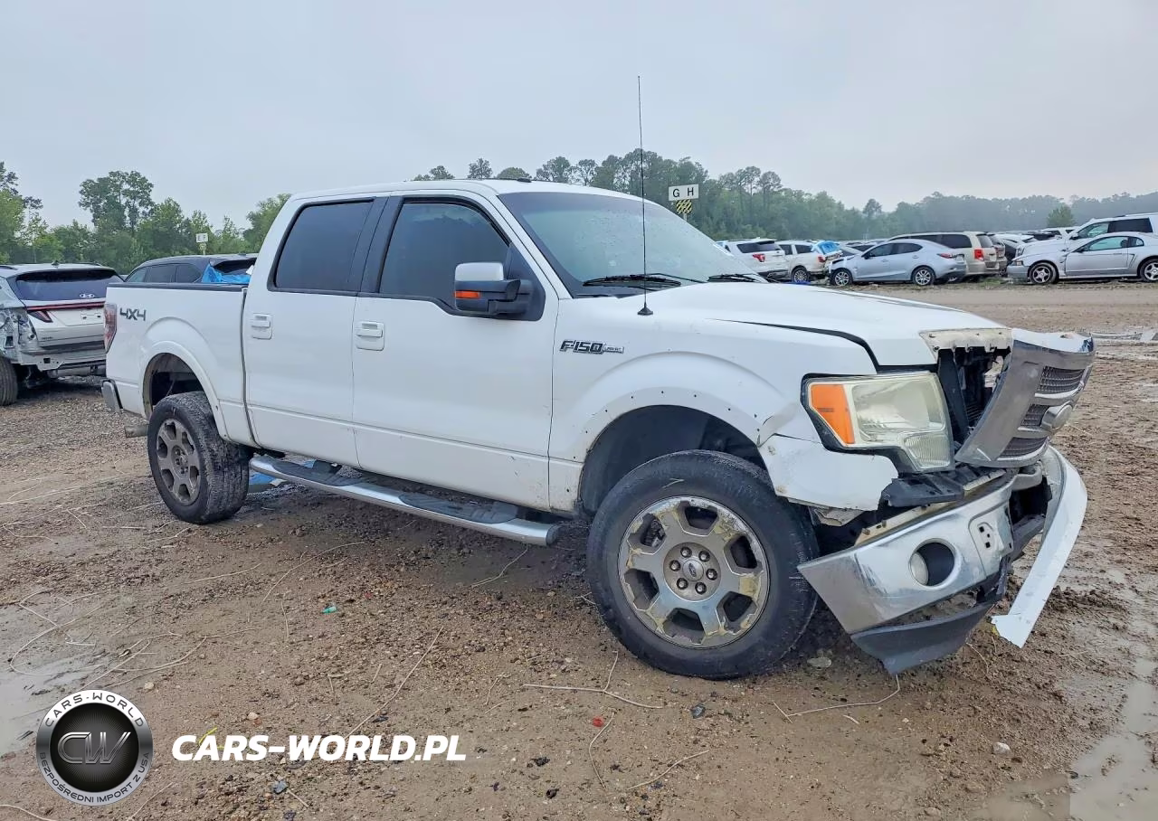 2009 Ford F150 Supercrew VIN:1FTPW14V69FA02063 - 4