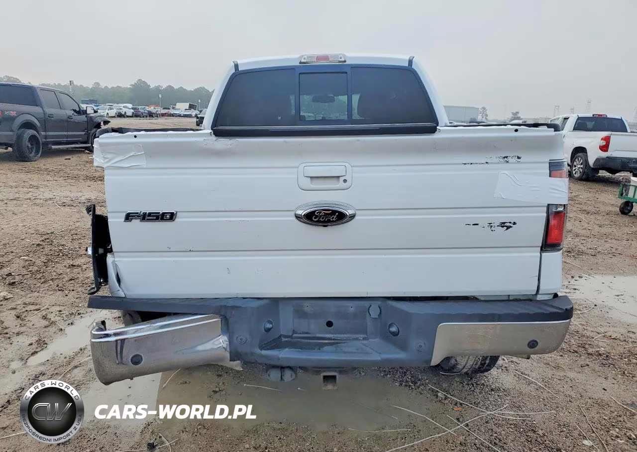 2009 Ford F150 Supercrew VIN:1FTPW14V69FA02063 - 6