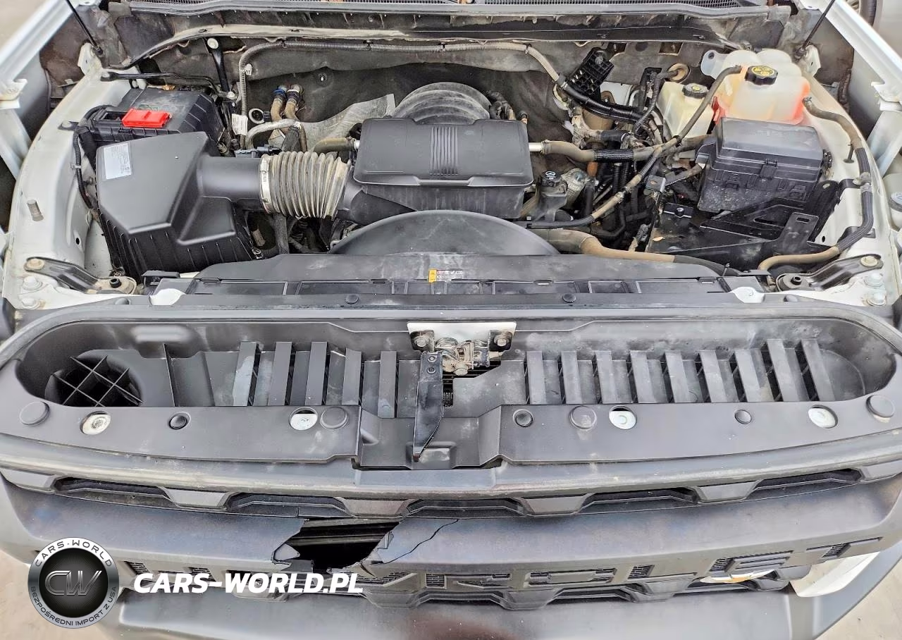 2020 Chevrolet Silverado K2500 Heavy Duty VIN:1GC2YLE78LF218987 - 11