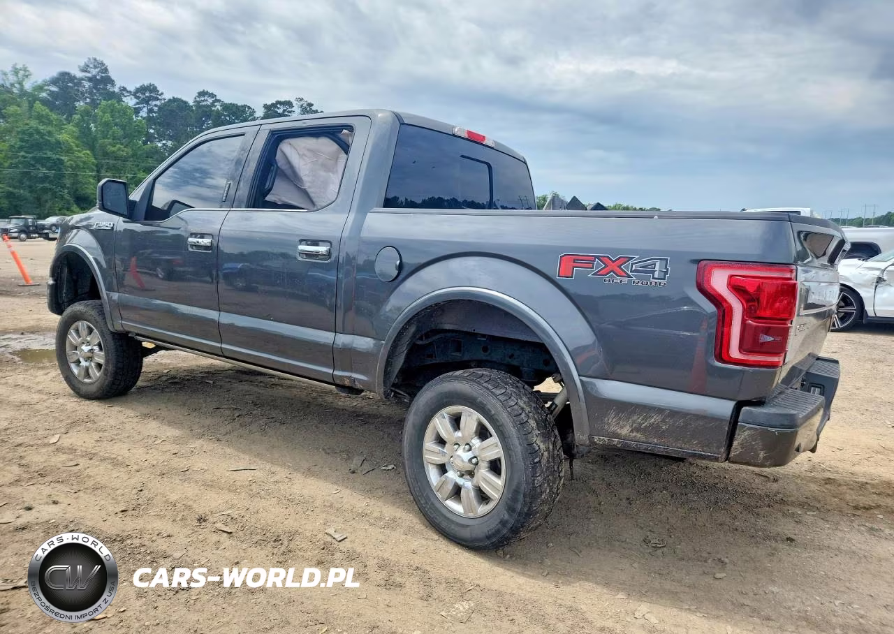2015 Ford F150 Supercrew VIN:1FTEW1EF3FFA01933 - 2
