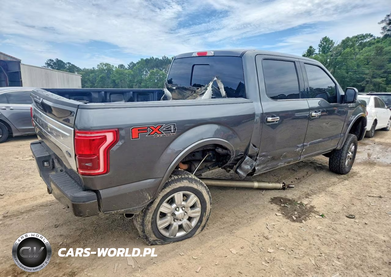 2015 Ford F150 Supercrew VIN:1FTEW1EF3FFA01933 - 3