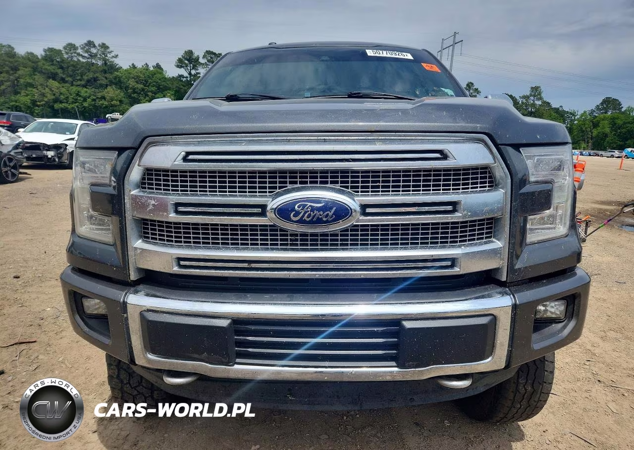 2015 Ford F150 Supercrew VIN:1FTEW1EF3FFA01933 - 5