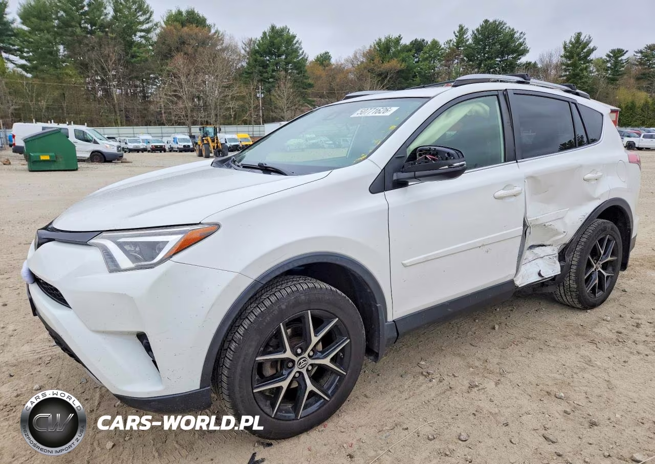 2017 Toyota Rav4 Se