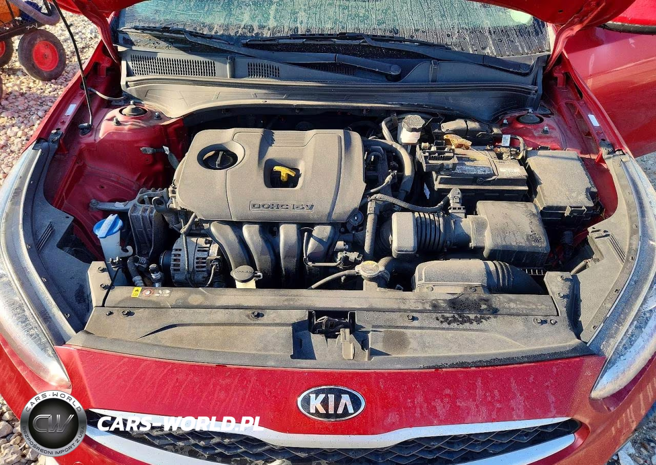 2019 Kia Forte Lxs VIN:3KPF24ADXKE030162 - 11