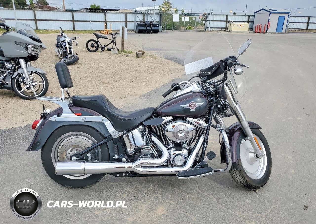 2006 Harley-Davidson Flstfi