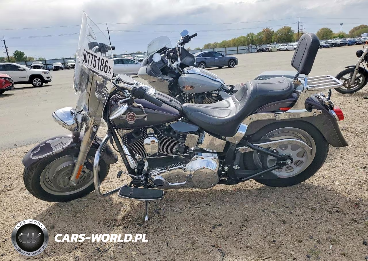 2006 Harley-Davidson Flstfi VIN:1HD1BXB196Y017367 - 3