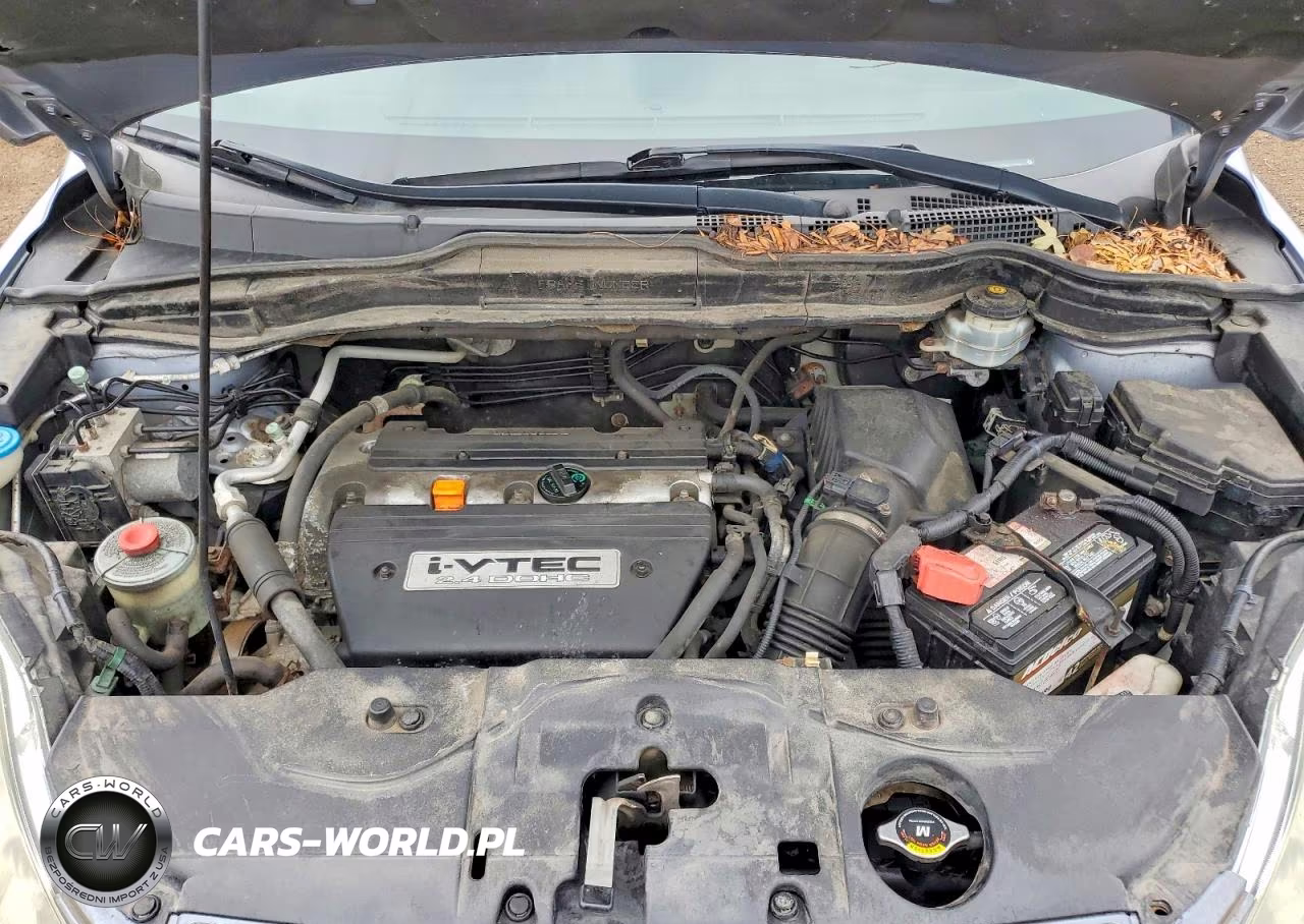 2008 Honda Cr-V Exl VIN:5J6RE48728L038643 - 11